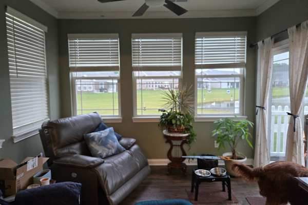 House sit in Indianapolis, IN, US