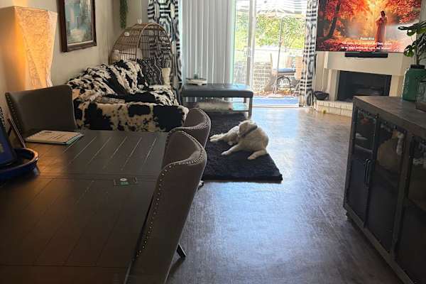 House sit in Newport Beach, CA, US