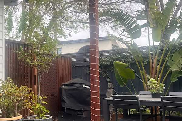 House sit in Melbourne, VIC, Australia