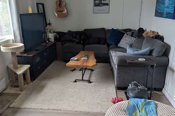 House sit in Campbell River, BC, Canada