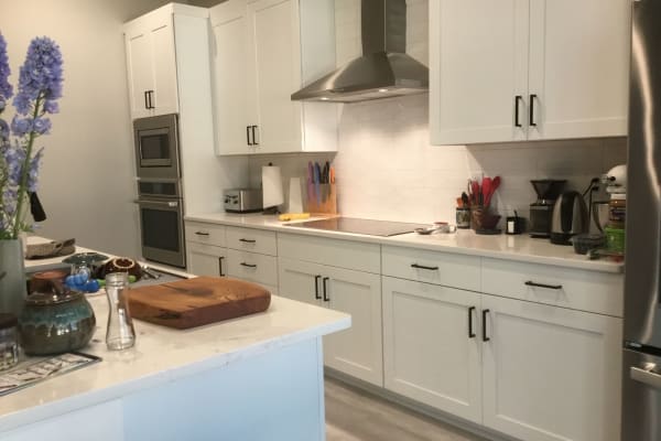 House sit in Port Townsend, WA, US
