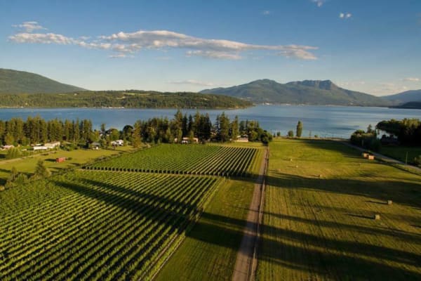 House sit in Salmon Arm, BC, Canada