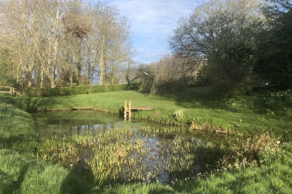 House sit in Hereford, United Kingdom