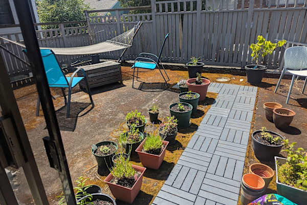 House sit in Seattle, WA, US