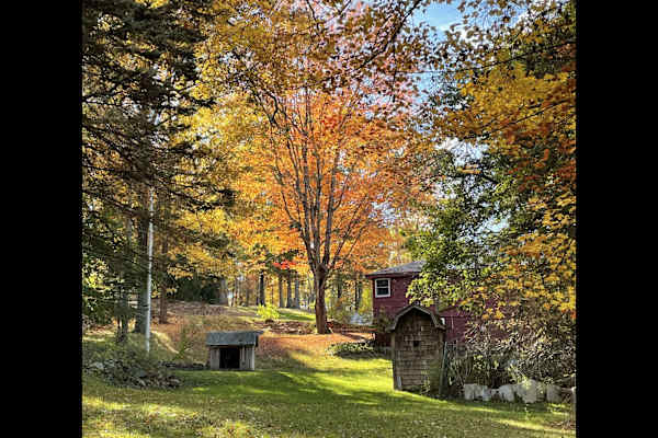 House sit in Sutton, MA, US