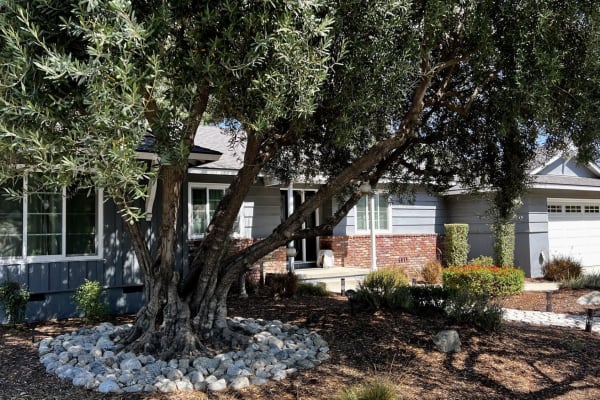 House sit in Claremont, CA, US