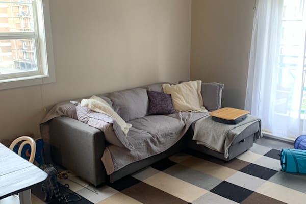 House sit in Calgary, AB, Canada
