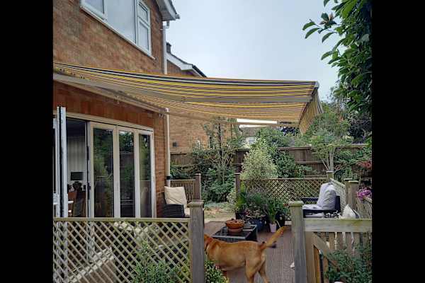 House sit in Thetford, United Kingdom