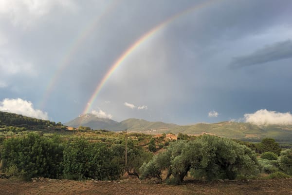 House sit in Castelló de la Plana, Spain
