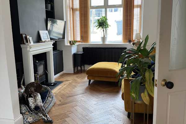 House sit in Bristol, United Kingdom