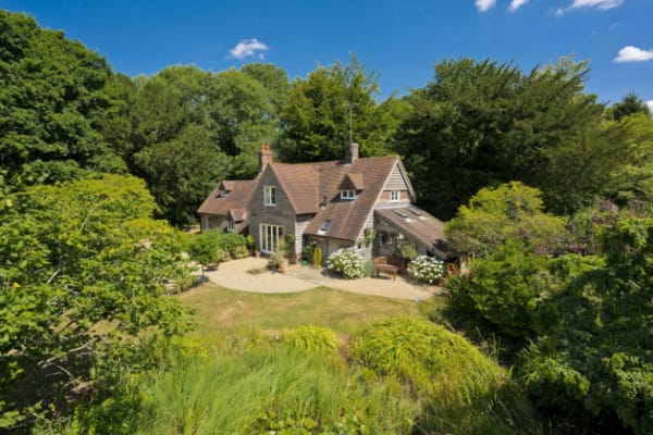 House sit in Shalden, United Kingdom