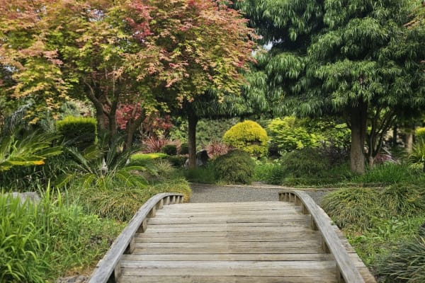 House sit in Cambridge, New Zealand