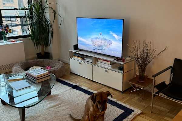 House sit in New York City, NY, US