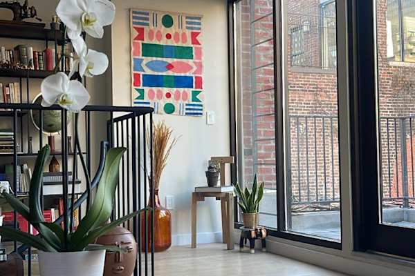 House sit in Manhattan, NY, US