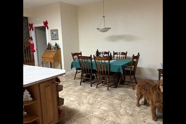 House sit in Courtenay, BC, Canada