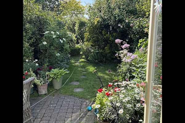 House sit in Cambridge, United Kingdom