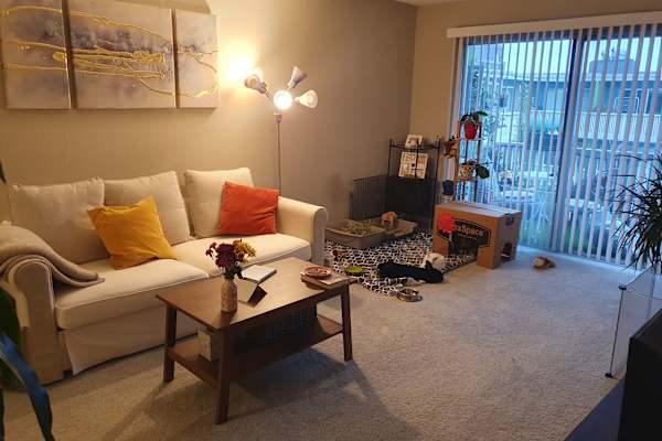 House sit in Alameda, CA, US