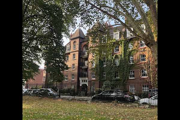 House sit in London, United Kingdom