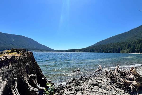 House sit in Portland, ME, US