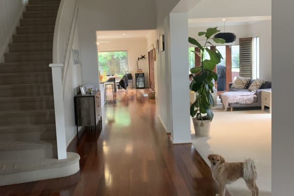 House sit in Torquay, VIC, Australia