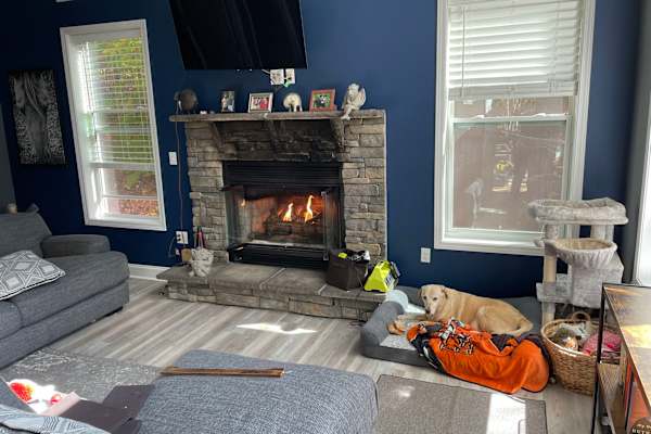 House sit in Swannanoa, NC, US