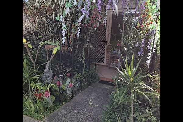 House sit in Windang, NSW, Australia