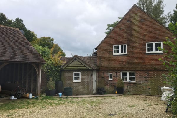 House sit in Uckfield, United Kingdom