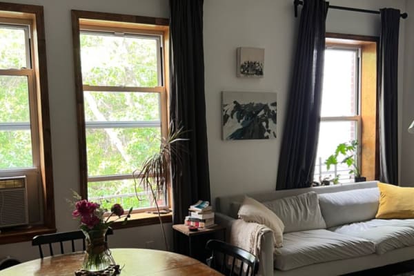 House sit in Brooklyn, NY, US