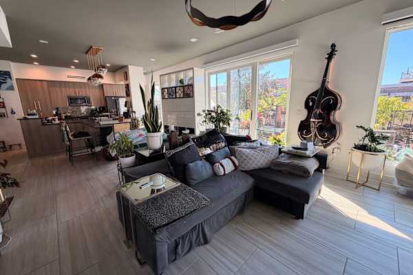 House sit in New Orleans, LA, US