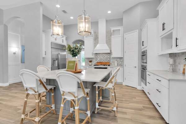 House sit in Tampa, FL, US