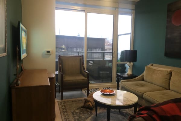 House sit in Toronto, ON, Canada