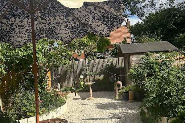 House sit in Great Oakley, United Kingdom
