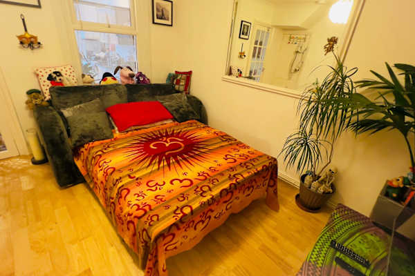 House sit in London, United Kingdom