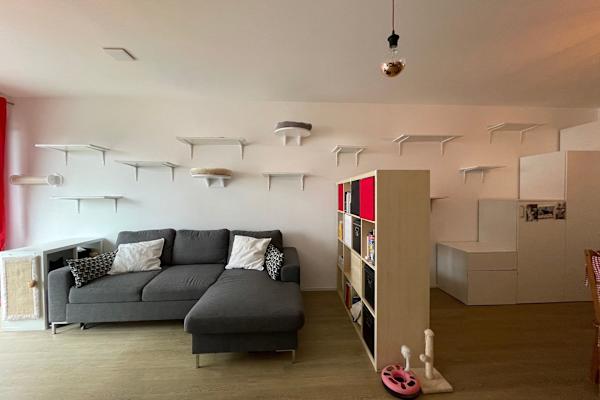 House sit in Berlin, Germany