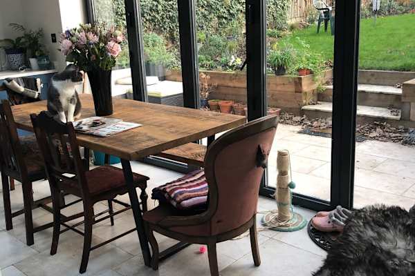 House sit in Herne Hill, United Kingdom