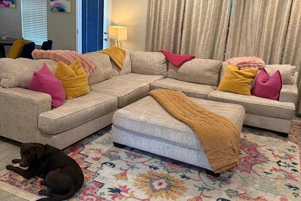 House sit in Dallas, TX, US