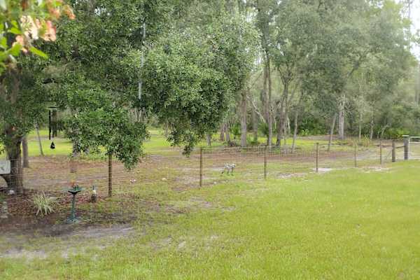 House sit in Cross City, FL, US