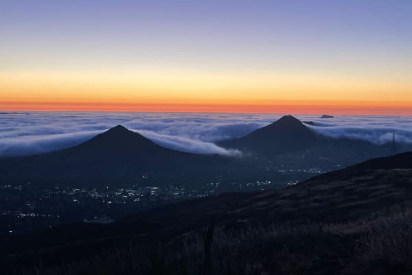 House sit in San Luis Obispo, CA, US
