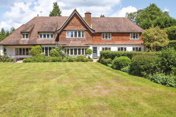 House sit in Haslemere, United Kingdom