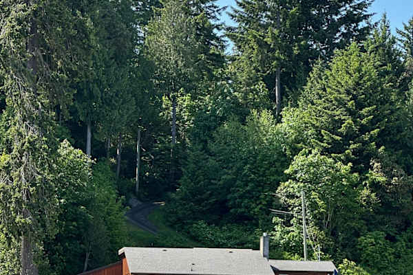 House sit in Lantzville, BC, Canada