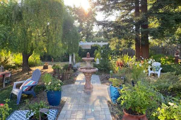 House sit in Novato, CA, US