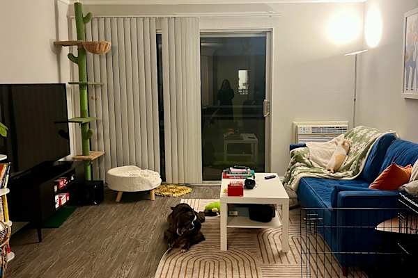 House sit in Los Angeles, CA, US