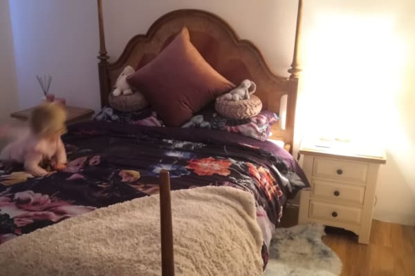 House sit in Manchester, United Kingdom