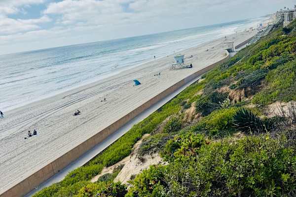 House sit in Carlsbad, CA, US