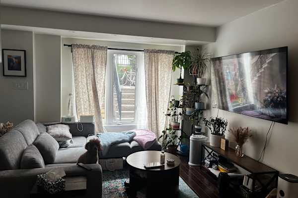 House sit in Toronto, ON, Canada