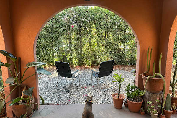 House sit in Echo Park, CA, US