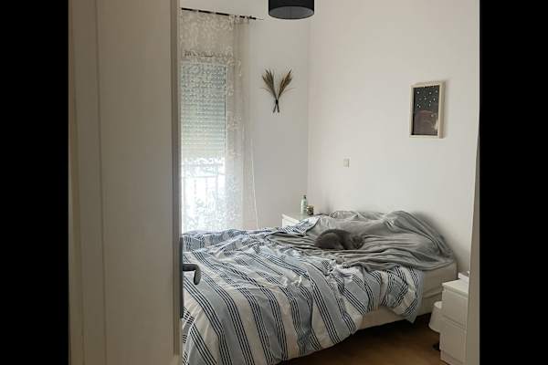 House sit in Marseille 13, France