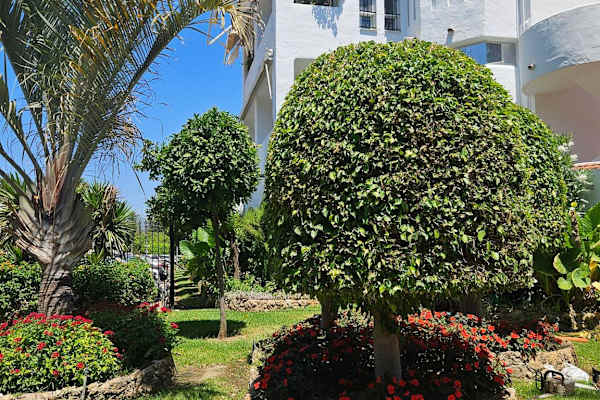 House sit in Marbella, Spain