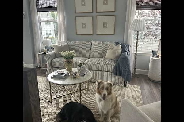 House sit in Manassas, VA, US