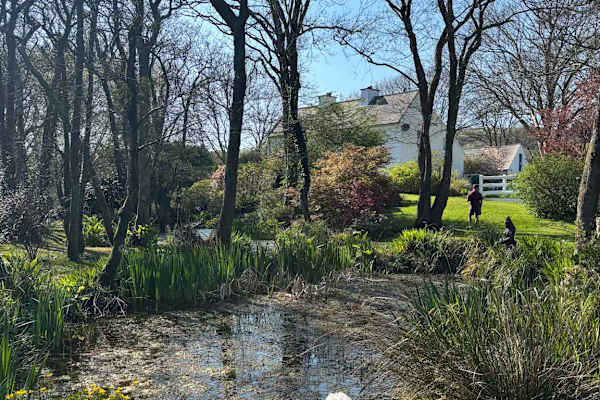 House sit in Clonakilty, Ireland